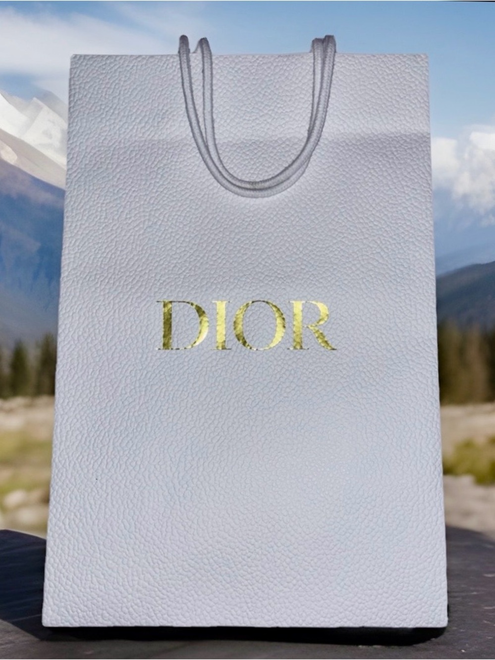 Authentic Gucci Holiday Silver Saint Laurent Crème and Dior Shopping Totes - Picture 6 of 7